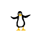 Pingouin acrobate